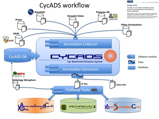 CycADS workflow
